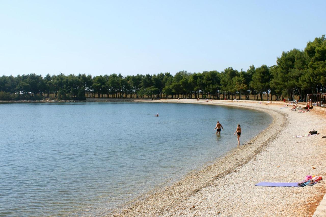 Apartments With A Parking Space Novigrad - 14408 מראה חיצוני תמונה